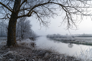 The first frosts / ***