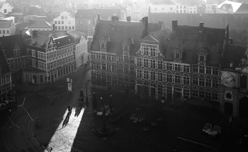 while long shadows / ***