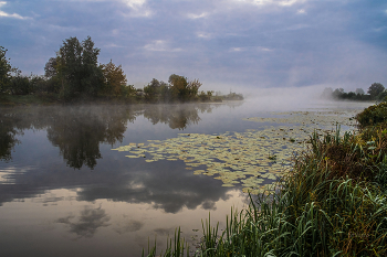 Cloudy morning. / ***
