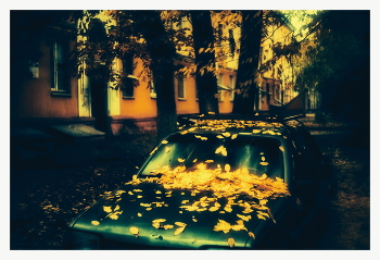 In the golden autumn / ***