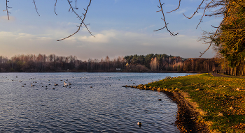 An evening walk / ***