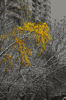 did not have time / ***