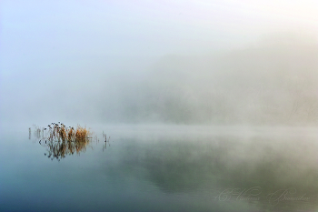 Misty minimalism / ***