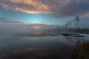 Through the mist / ***