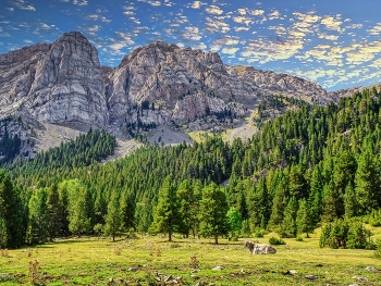 Estana - Serra de Cadí (Prat Cadí) - Baixa Cerdanya / Estana - Serra de Cadí (Prat Cadí) - Baixa Cerdanya