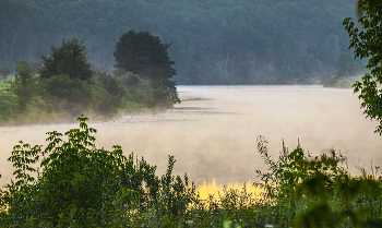 Summer morning. / ***
