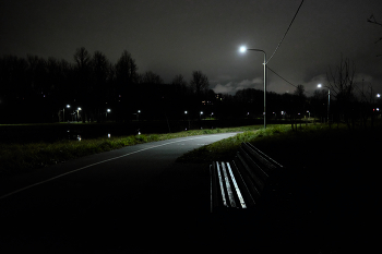 Bench in the park / ***