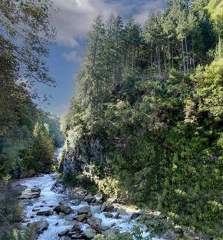 Mountain stream / ***