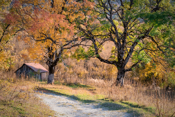 Autumn in Mravaldzali / ***