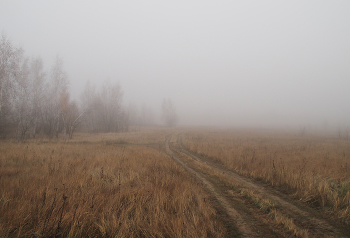 road in the fog / ***