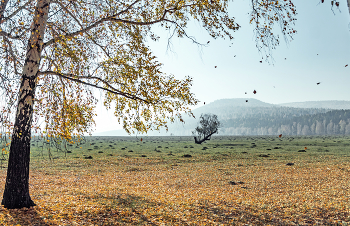 A whiff of autumn / ***