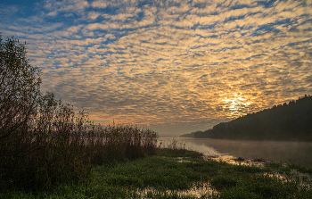 November morning. / ***
