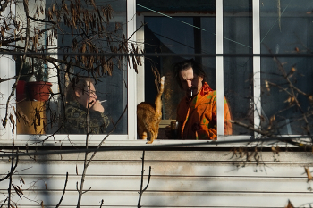 morning coffee / ***