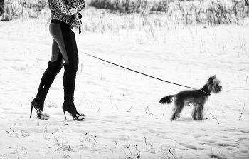 The first snow ... / ***