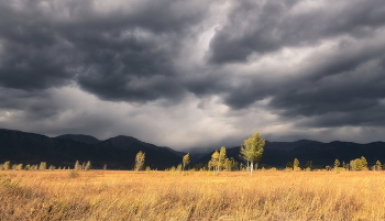 Before the storm / ***