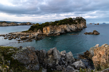 The rocky shore / ***