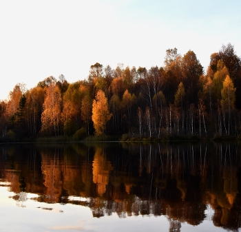 Charm of eyes ... / ***