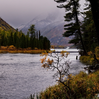 Mainly Cloudy. / ***