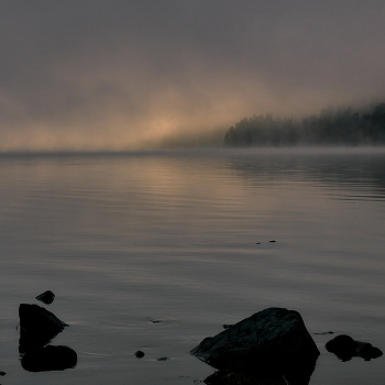 Early morning. / ***