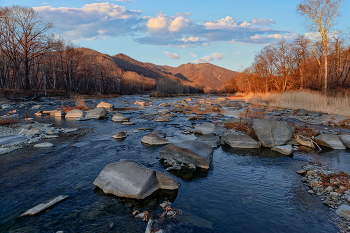 Autumn morning 2 / ***