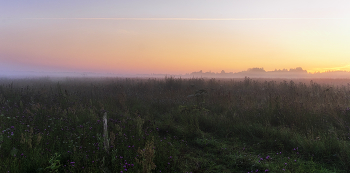 in the morning / ***