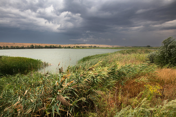 The wind is coming / ***