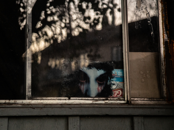 Looking out the window / ......