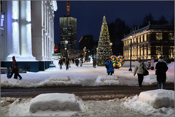 After a snowfall. / ***