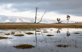 Autumn loneliness / ***