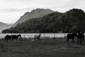 Spring evening. / ***
