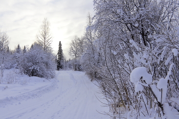 Traces of unseen beasts / ***