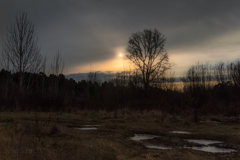 November morning / ***