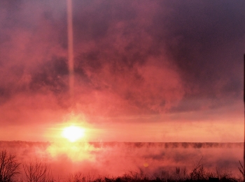 Golden ray of sunlight / ***