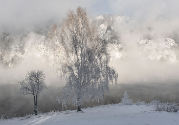 Morning colors gentle light / ***