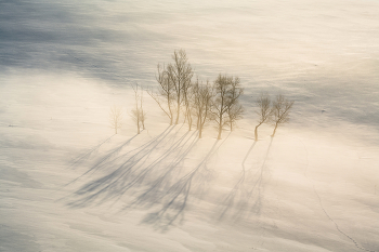 &quot;Winter Mist&quot; / ***