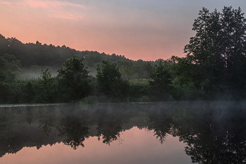 Summer morning. / ***