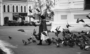 Love and pigeons ... / ***