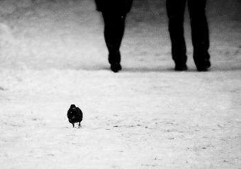 &nbsp; / ..........................................