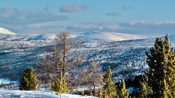 Remembering the Future / ***