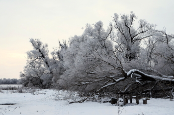 Overcast morning. / ***