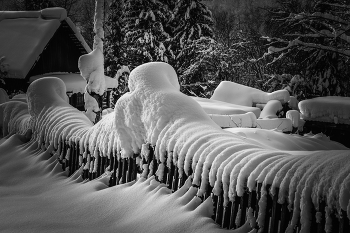 Winter sketches / ***