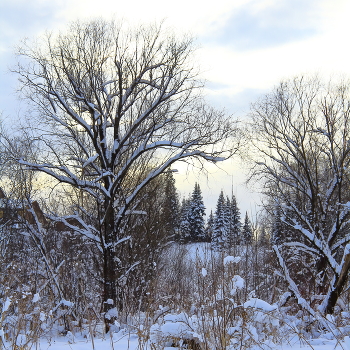 Winter schedule / ***