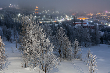 Evening lights / ***