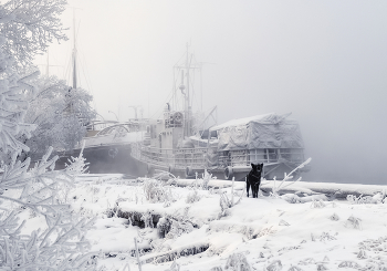 Winter parking / ***