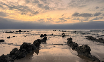 The road to sunset / ***