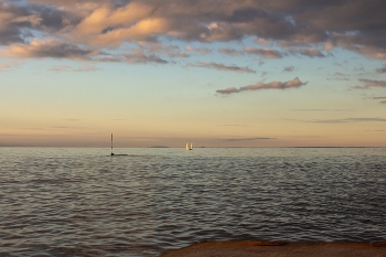 In the vast sea / ***