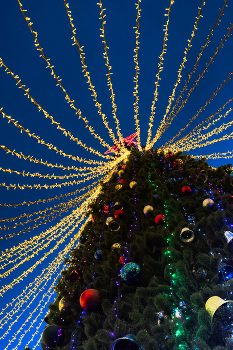 Holiday comes to us / ***