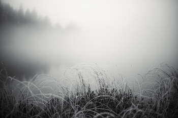 morning sedoe / ....