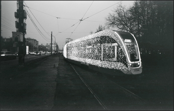 In the twilight / ***