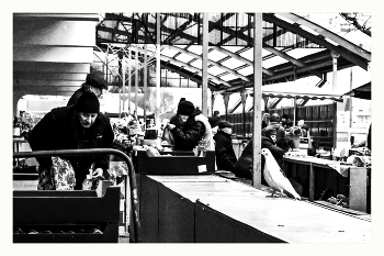 The smell of winter / ***